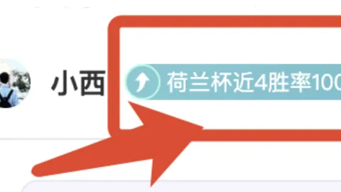 亚滑联技术代表称赞冰场：“完美滑冰成绩的理想场所”